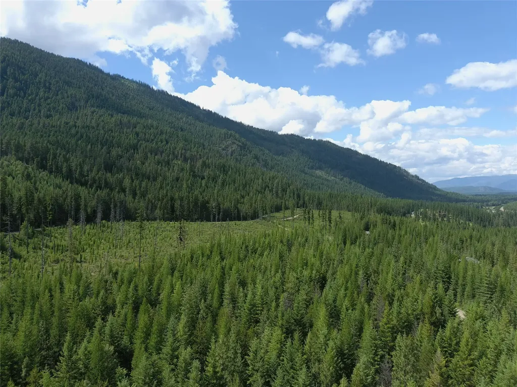 L1 Lower Stanley Cutoff Road Troy MT 59935