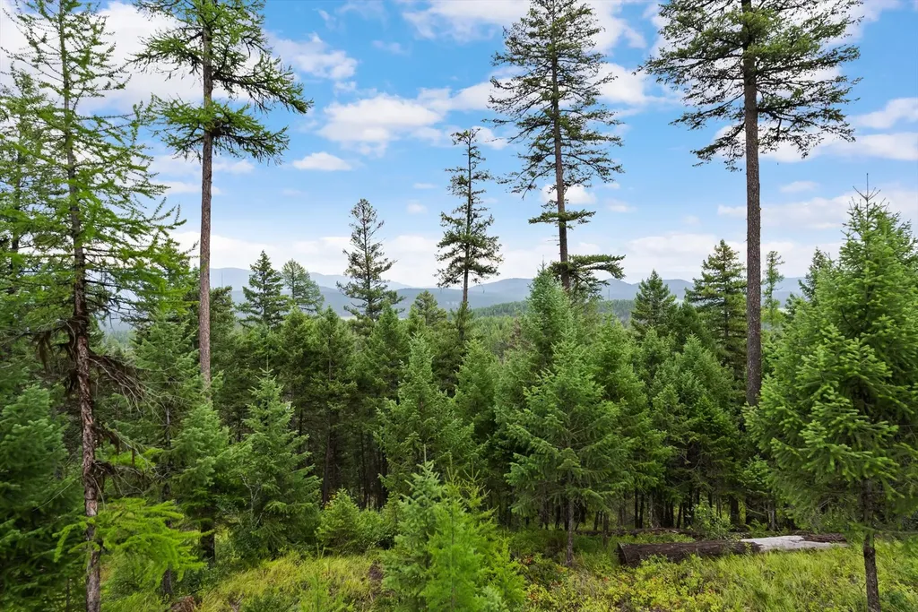 2265 Mountain Home Road Whitefish MT 59937