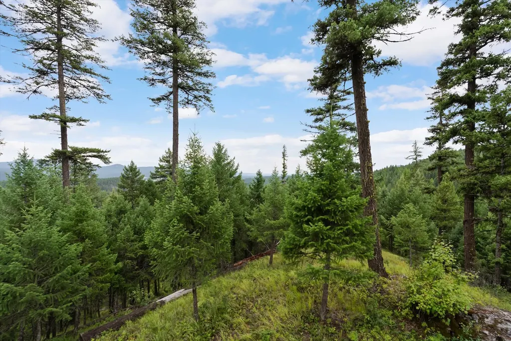 2265 Mountain Home Road Whitefish MT 59937