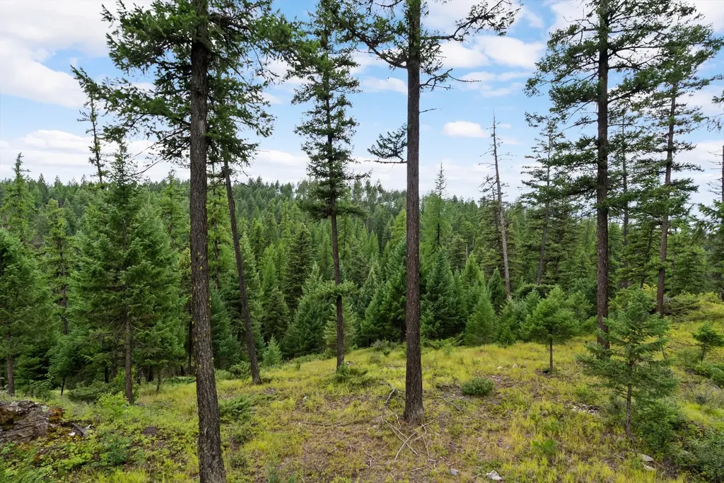 2265 Mountain Home Road Whitefish MT 59937