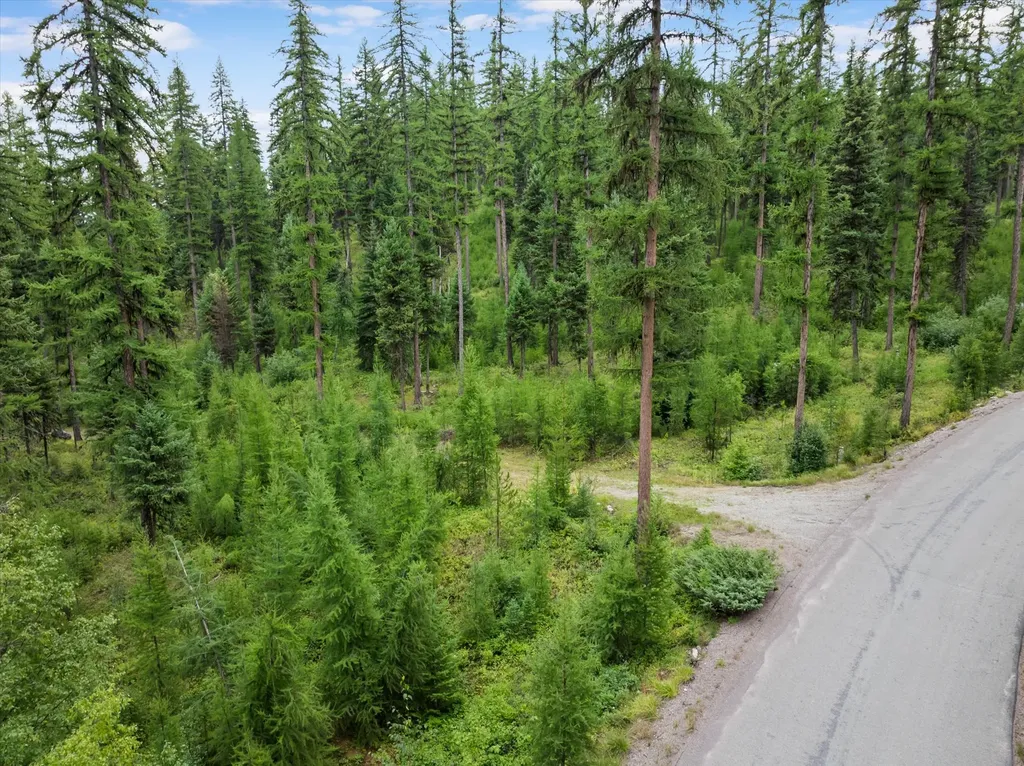 2265 Mountain Home Road Whitefish MT 59937