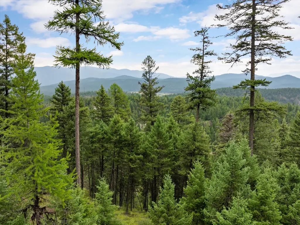 2265 Mountain Home Road Whitefish MT 59937