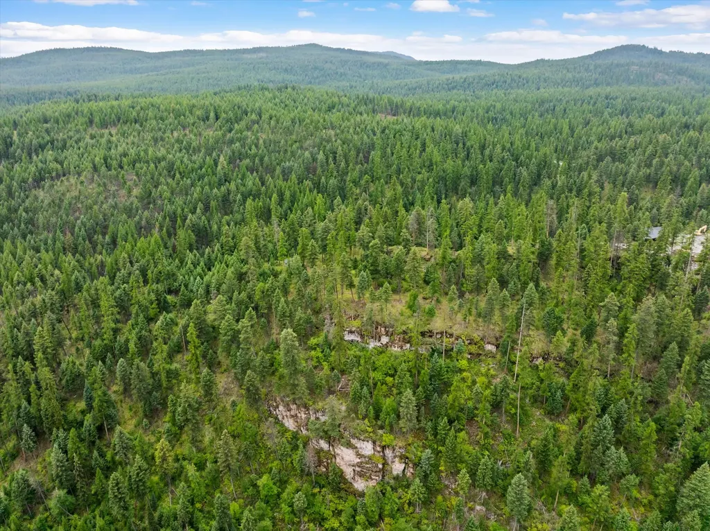 2265 Mountain Home Road Whitefish MT 59937