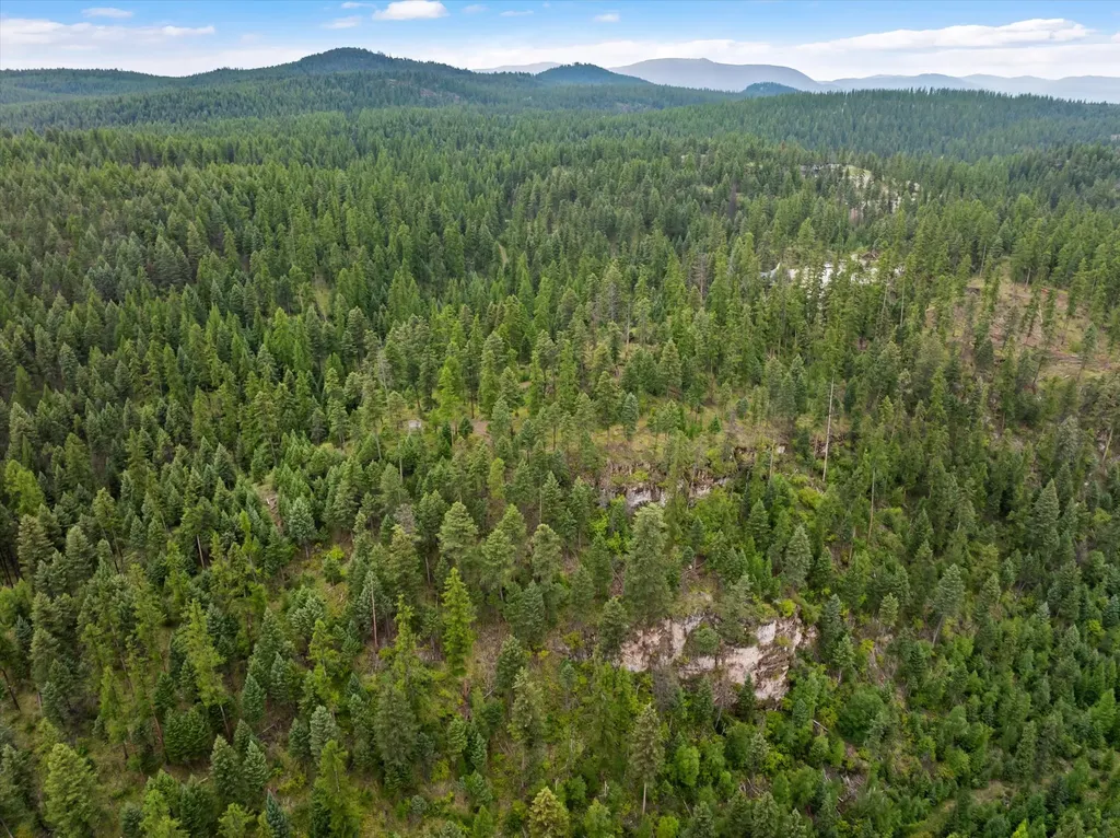 2265 Mountain Home Road Whitefish MT 59937