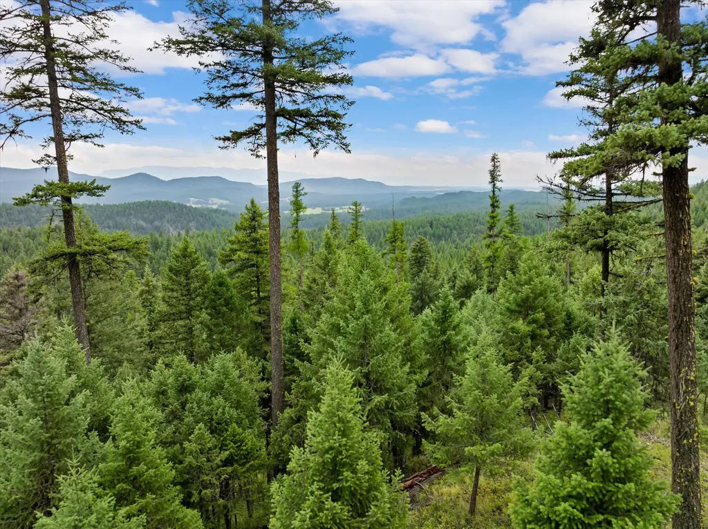 2265 Mountain Home Road Whitefish MT 59937