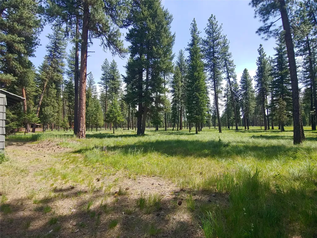142 Hollopeter Road Condon MT 59826