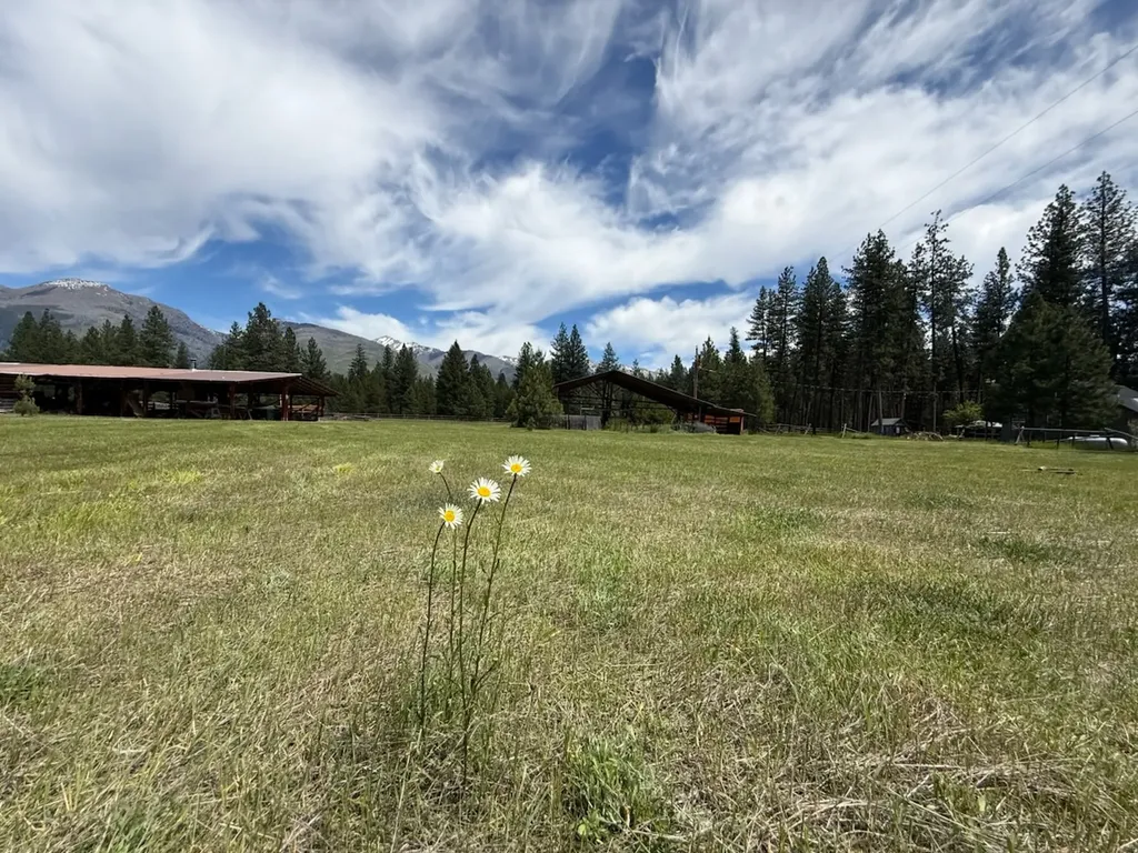 142 Hollopeter Road Condon MT 59826