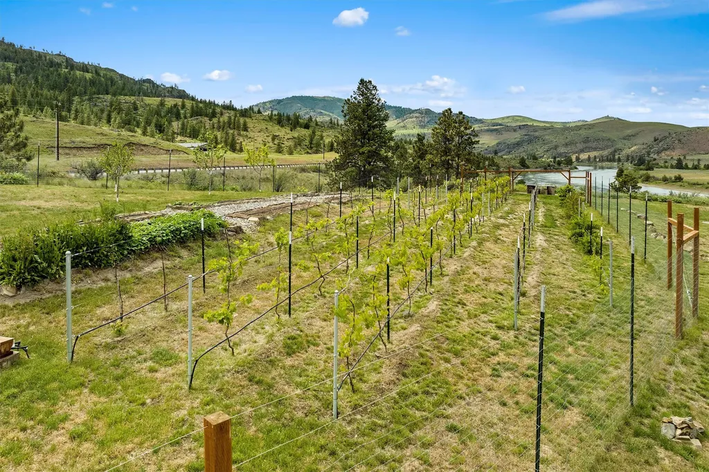 9701 Mount Highway 200 Dixon MT 59831