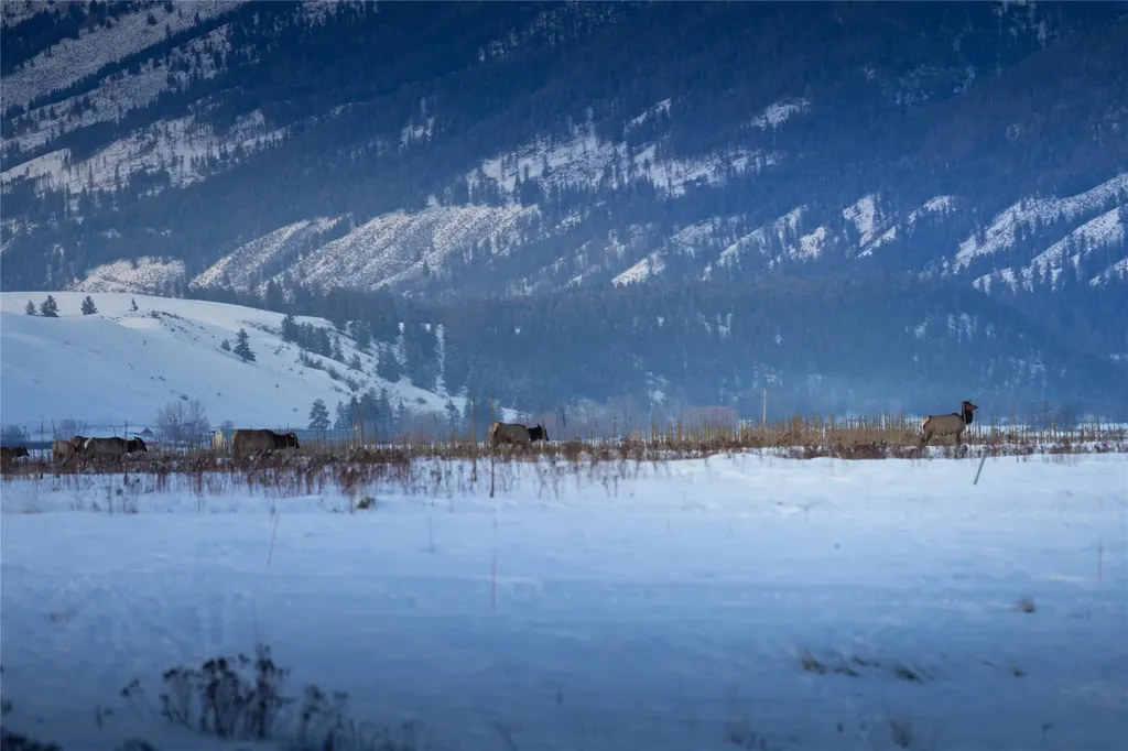 815 Velvet Grove Eureka MT 59917