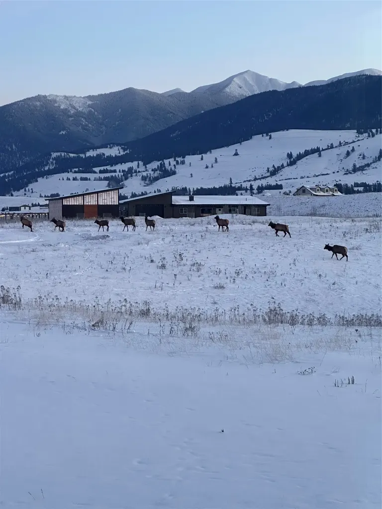 815 Velvet Grove Eureka MT 59917