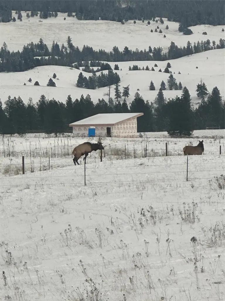 815 Velvet Grove Eureka MT 59917