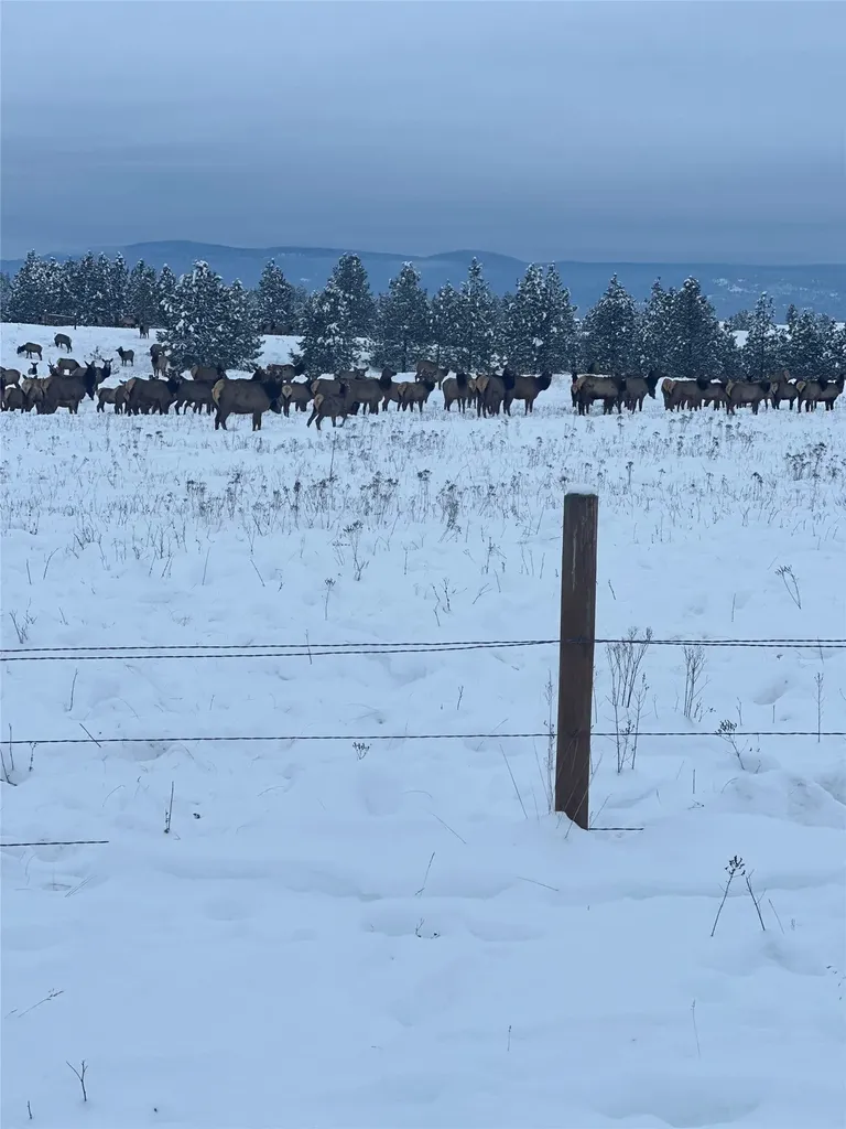 815 Velvet Grove Eureka MT 59917