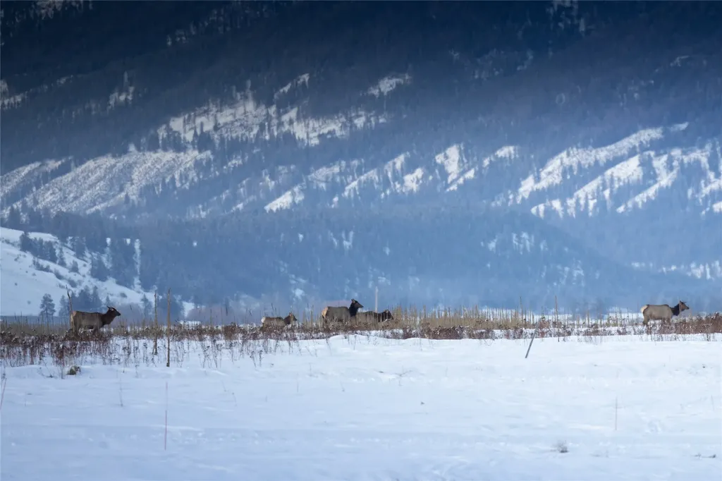 815 Velvet Grove Eureka MT 59917