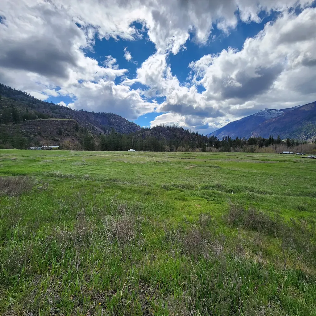 Lot 9 Henry Creek Meadows Plains MT 59859