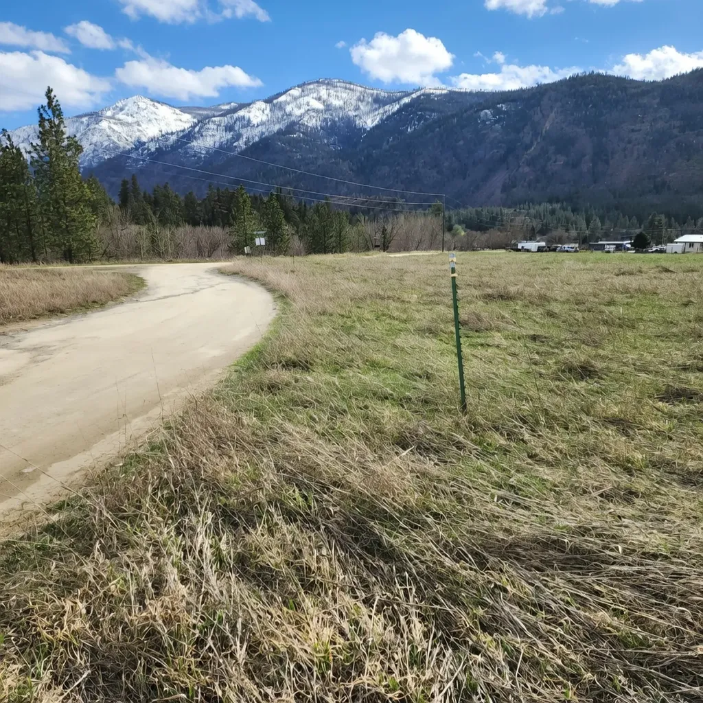 Lot 9 Henry Creek Meadows Plains MT 59859