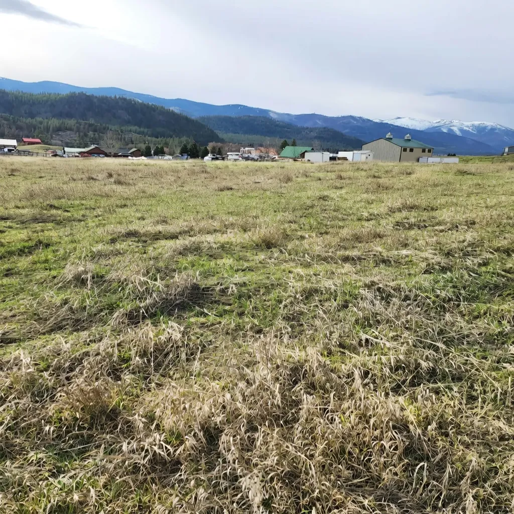 Lot 9 Henry Creek Meadows Plains MT 59859