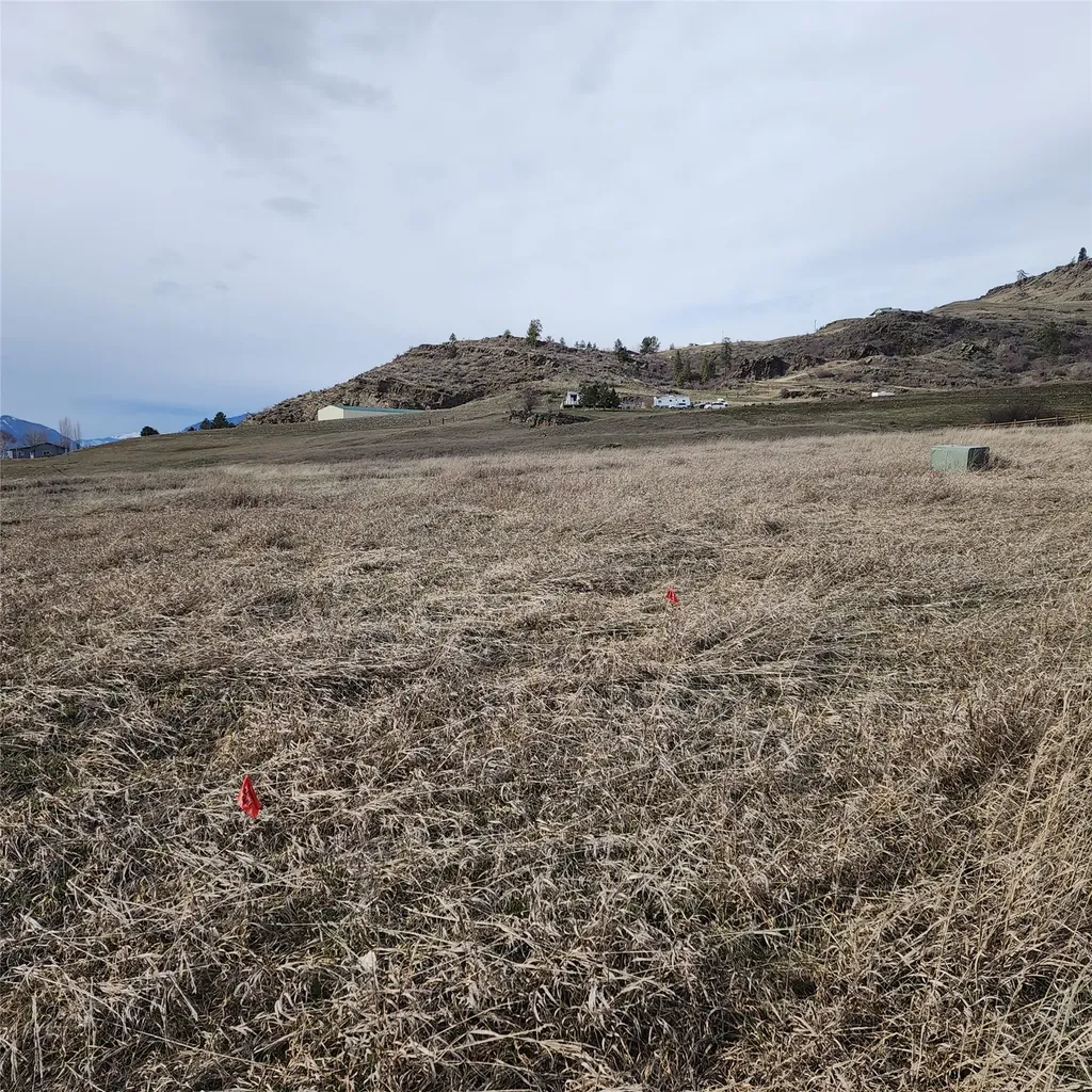 Lot 9 Henry Creek Meadows Plains MT 59859