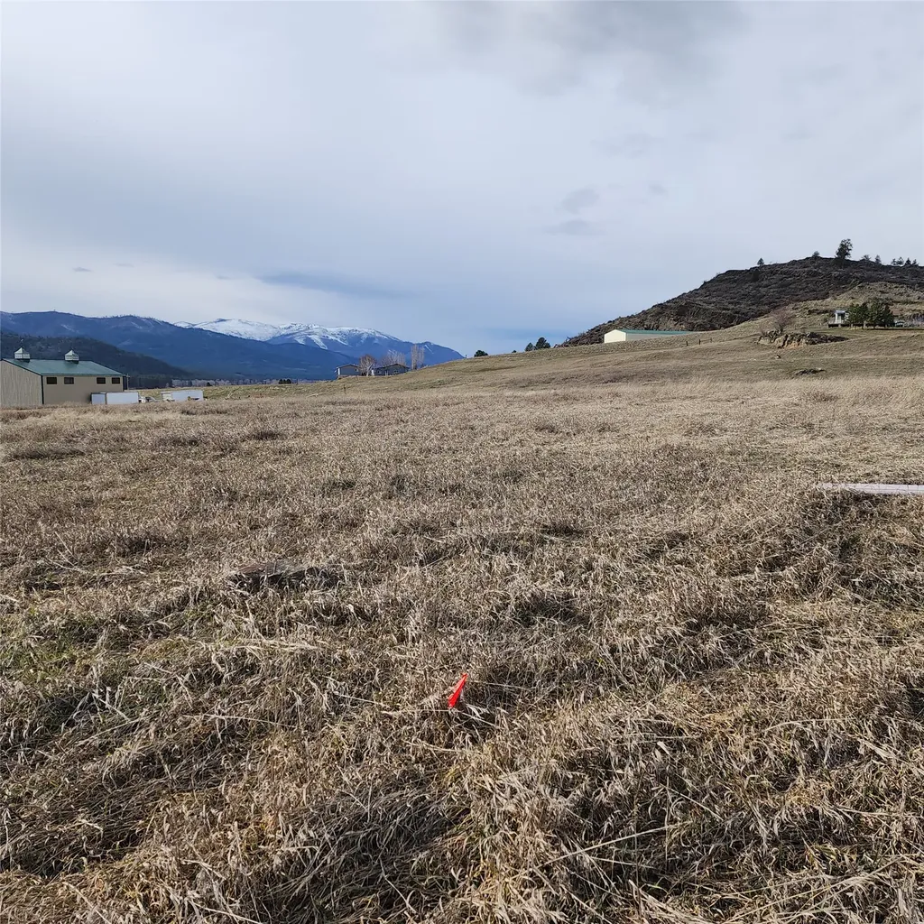 Lot 9 Henry Creek Meadows Plains MT 59859