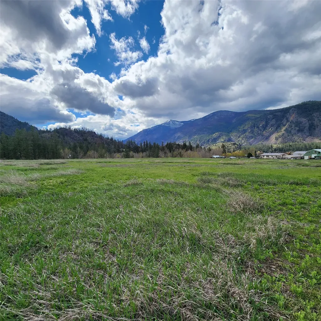 Lot 9 Henry Creek Meadows Plains MT 59859