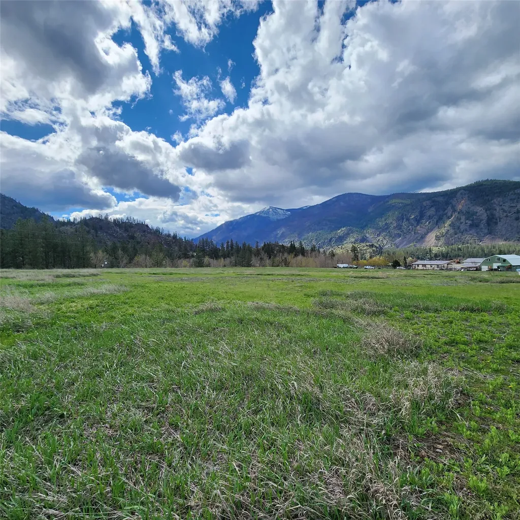 Lot 9 Henry Creek Meadows Plains MT 59859