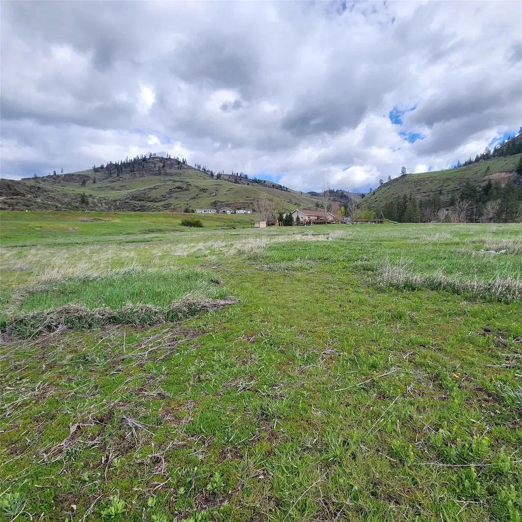 Lot 9 Henry Creek Meadows Plains MT 59859