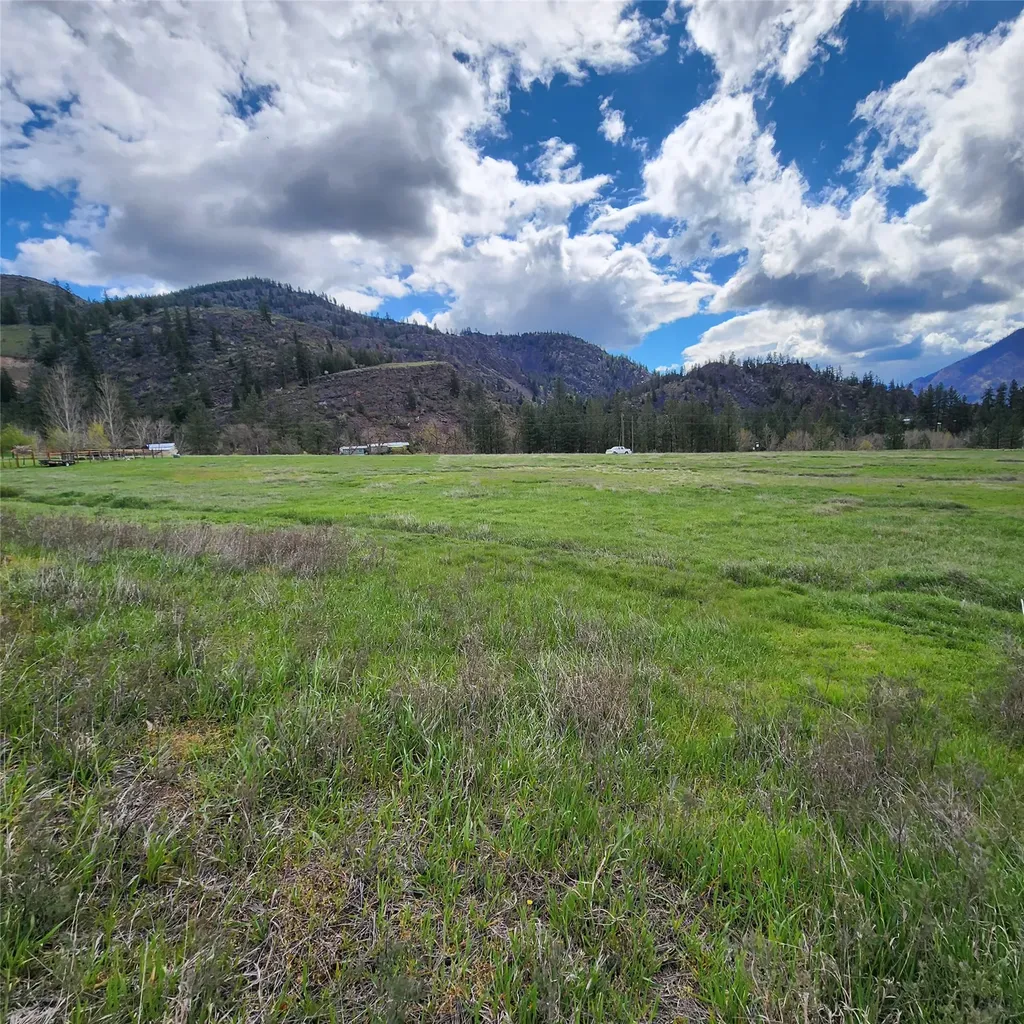 Lot 9 Henry Creek Meadows Plains MT 59859