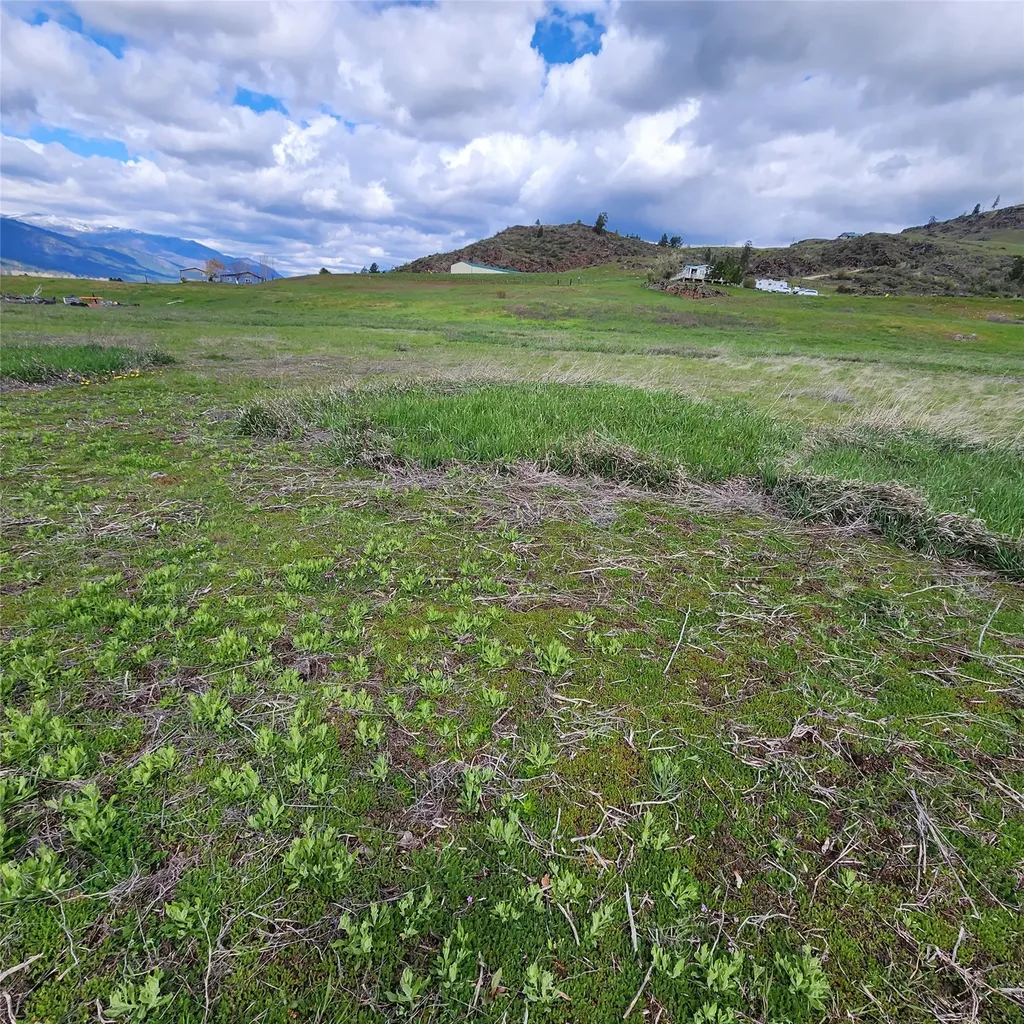 Lot 9 Henry Creek Meadows Plains MT 59859