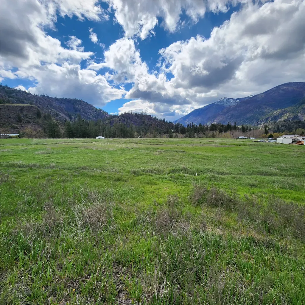 Lot 9 Henry Creek Meadows Plains MT 59859