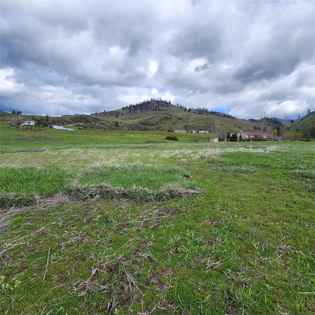 Lot 9 Henry Creek Meadows Plains MT 59859