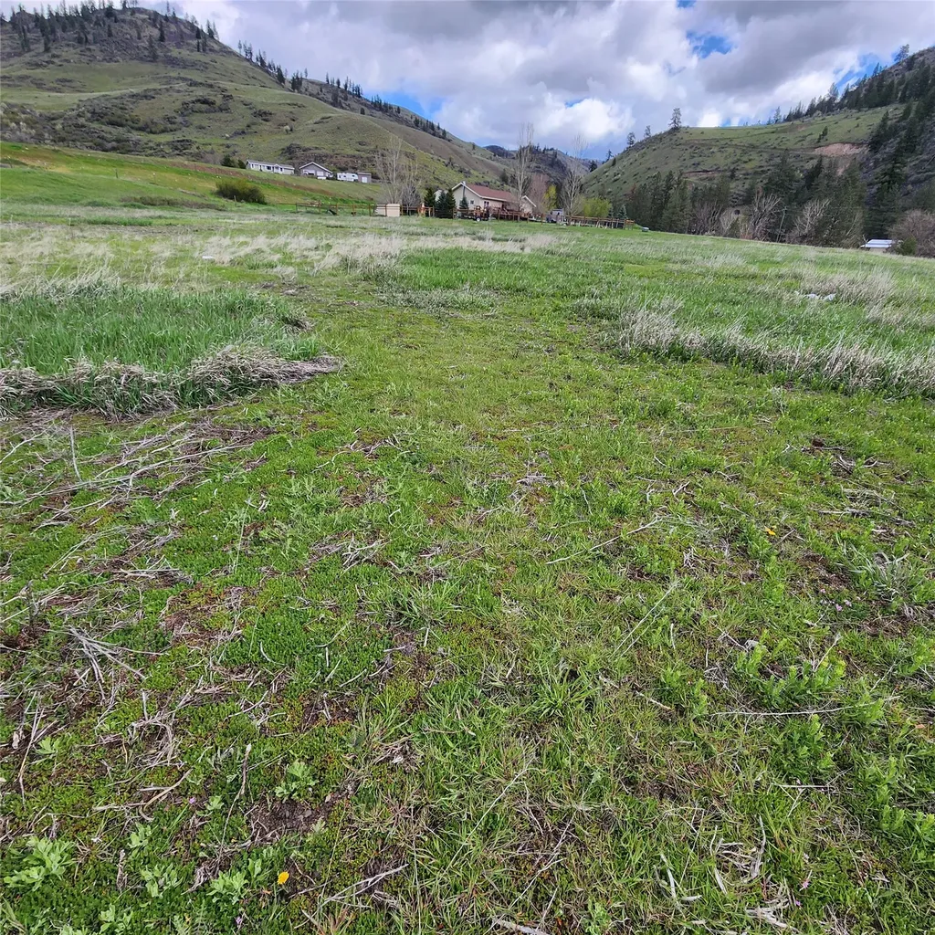Lot 9 Henry Creek Meadows Plains MT 59859