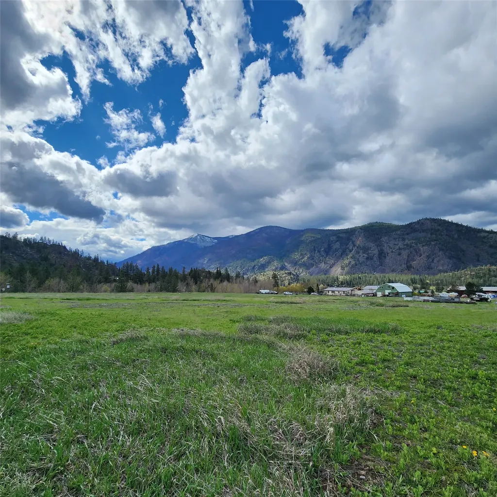 Lot 9 Henry Creek Meadows Plains MT 59859