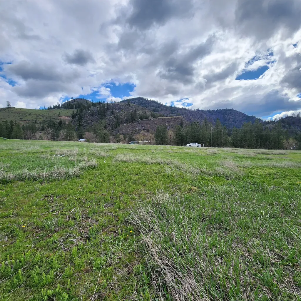 Lot 9 Henry Creek Meadows Plains MT 59859