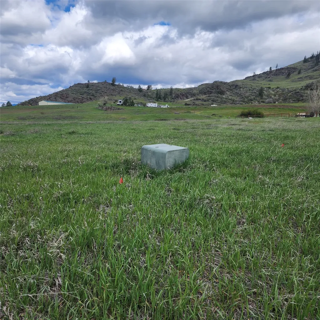 Lot 9 Henry Creek Meadows Plains MT 59859