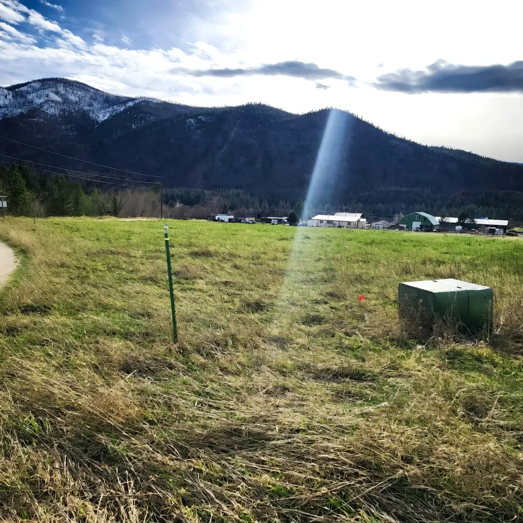 Lot 9 Henry Creek Meadows Plains MT 59859