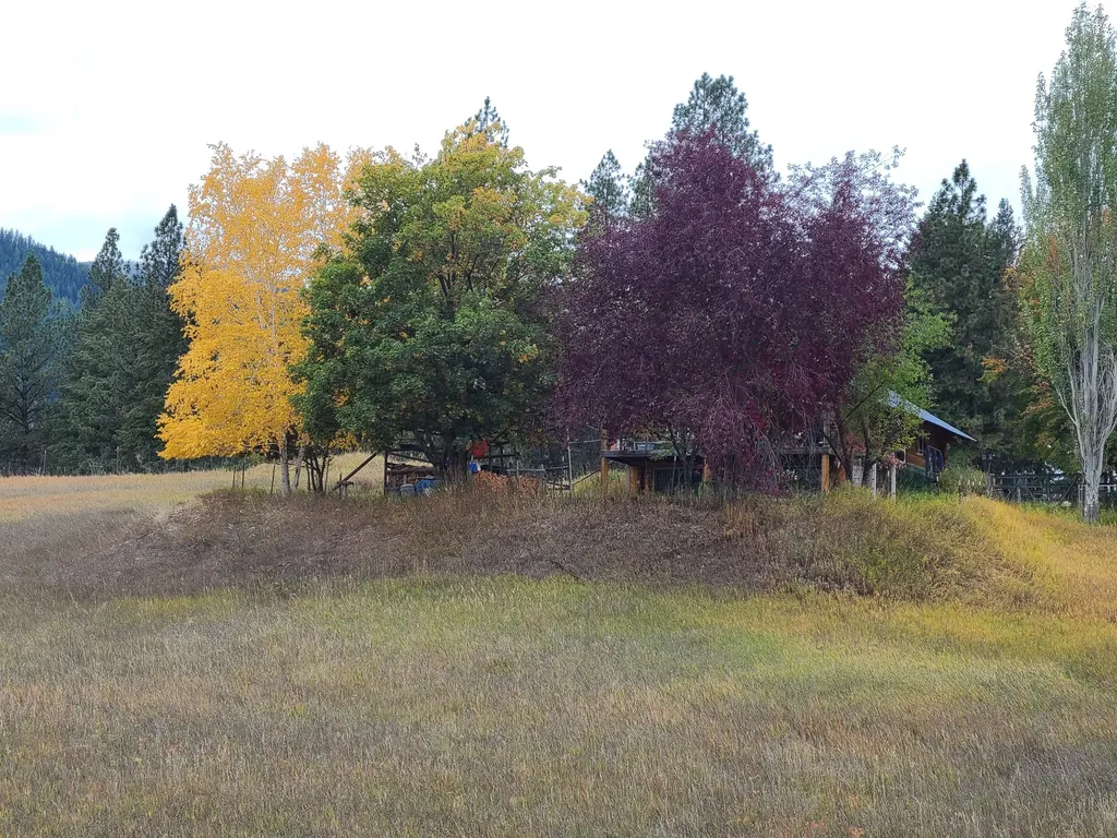 510 Johnson Lane Superior MT 59872
