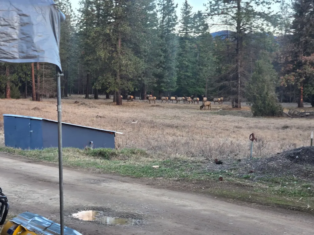 510 Johnson Lane Superior MT 59872