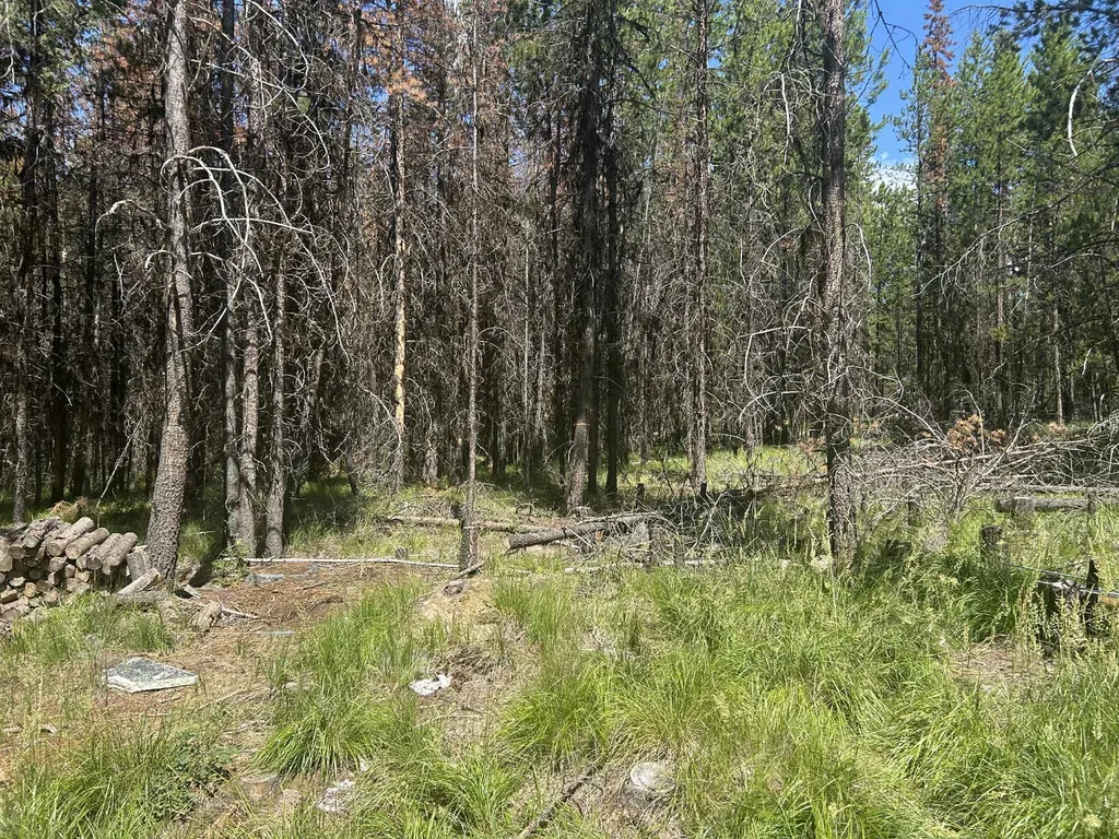 314 New Timber Ridge Trail Marion MT 59925
