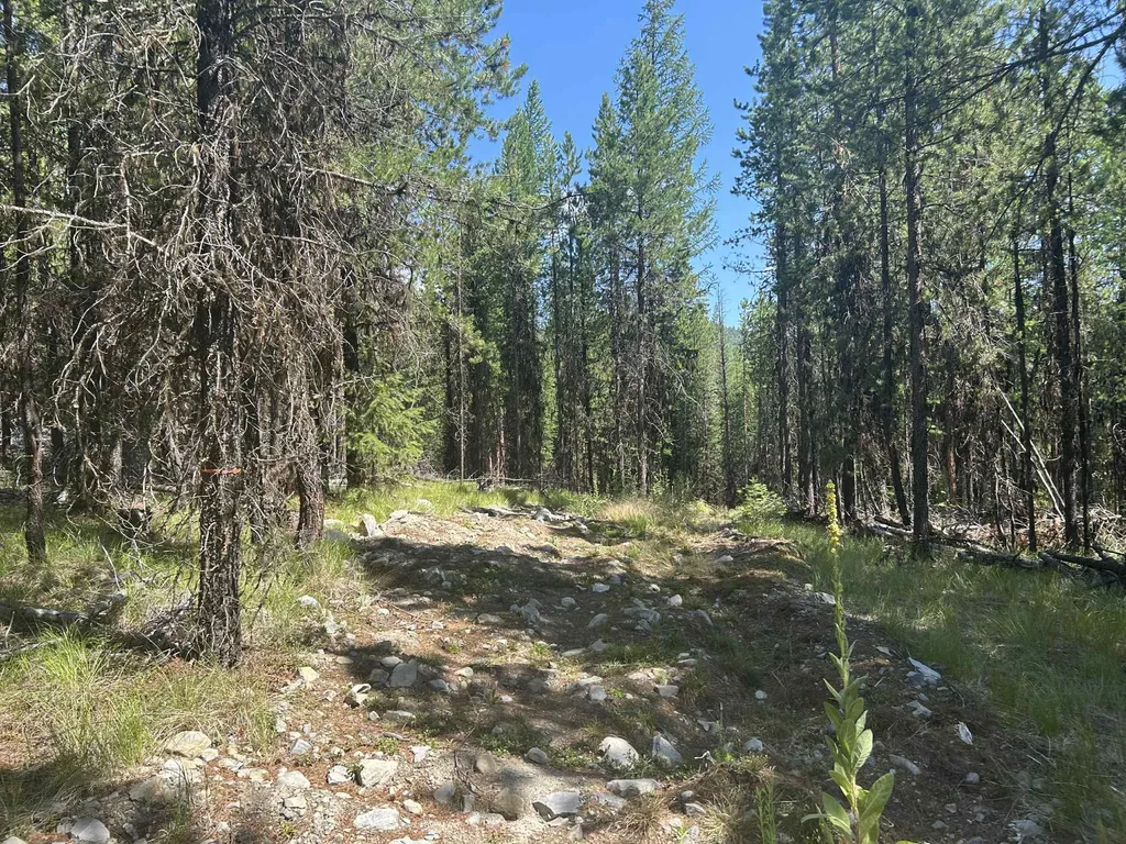 314 New Timber Ridge Trail Marion MT 59925