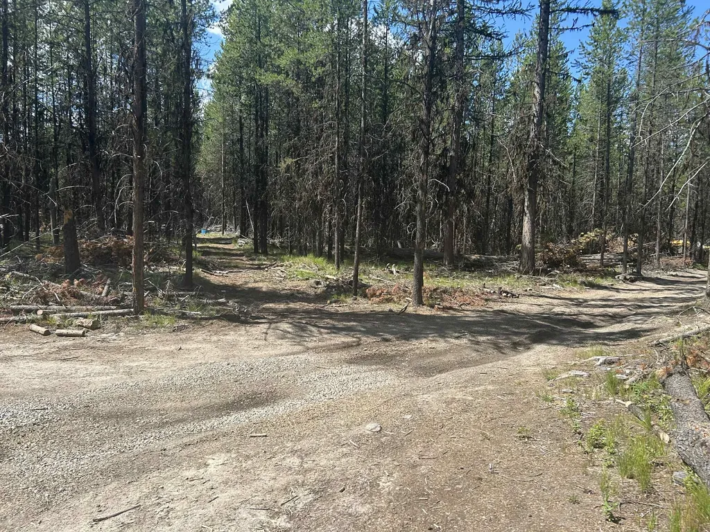 314 New Timber Ridge Trail Marion MT 59925