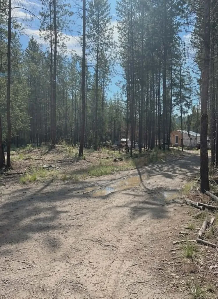 314 New Timber Ridge Trail Marion MT 59925