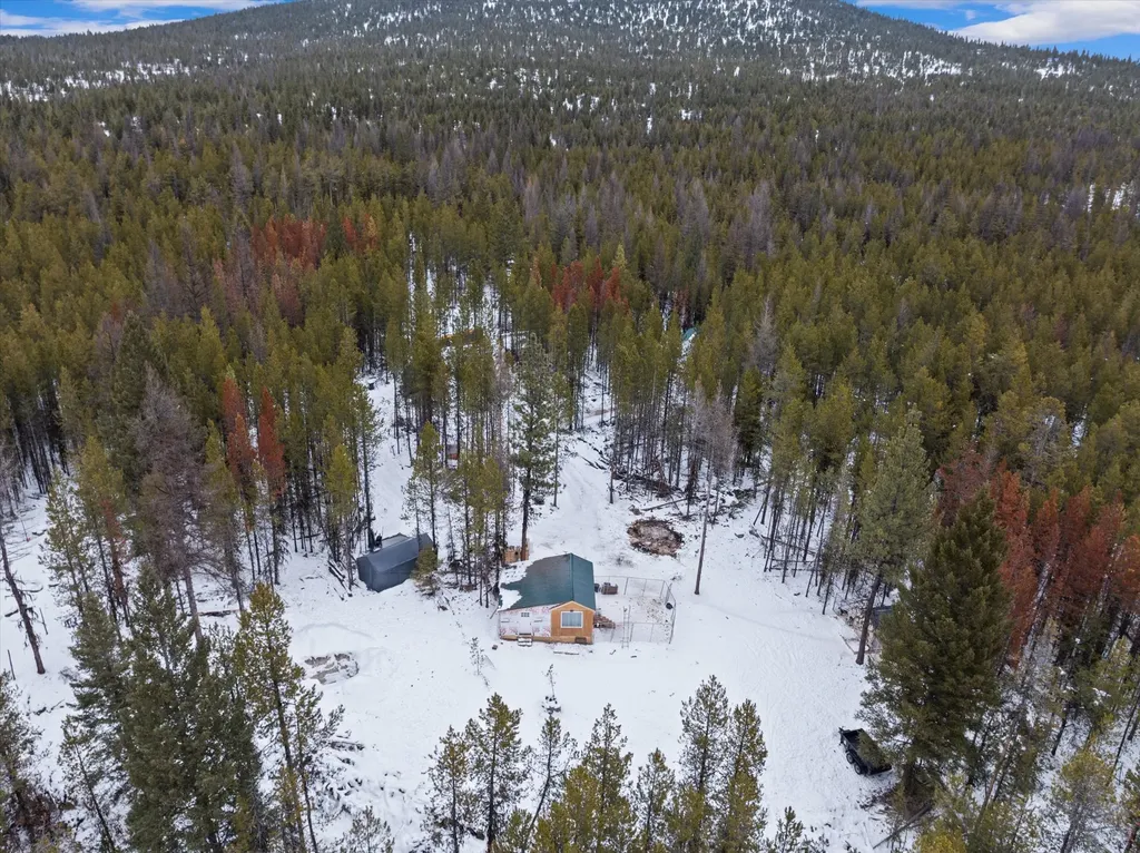 314 New Timber Ridge Trail Marion MT 59925