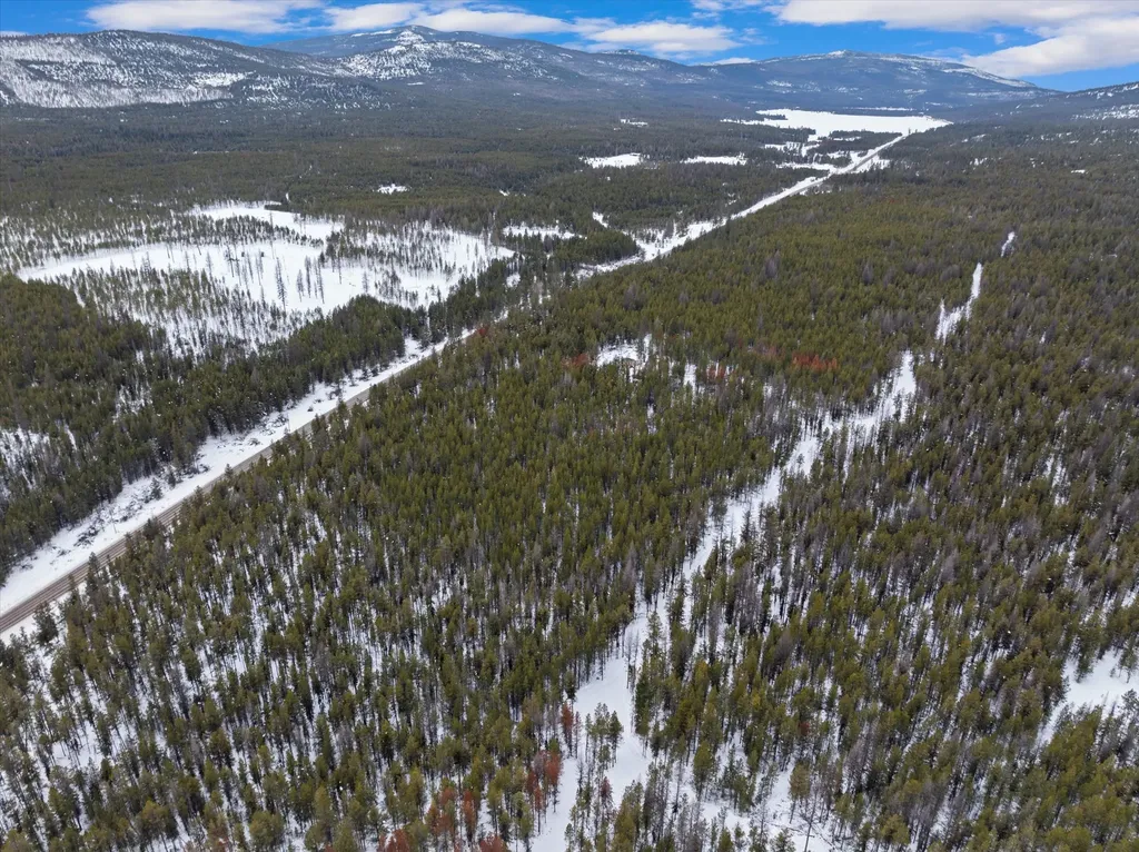 314 New Timber Ridge Trail Marion MT 59925