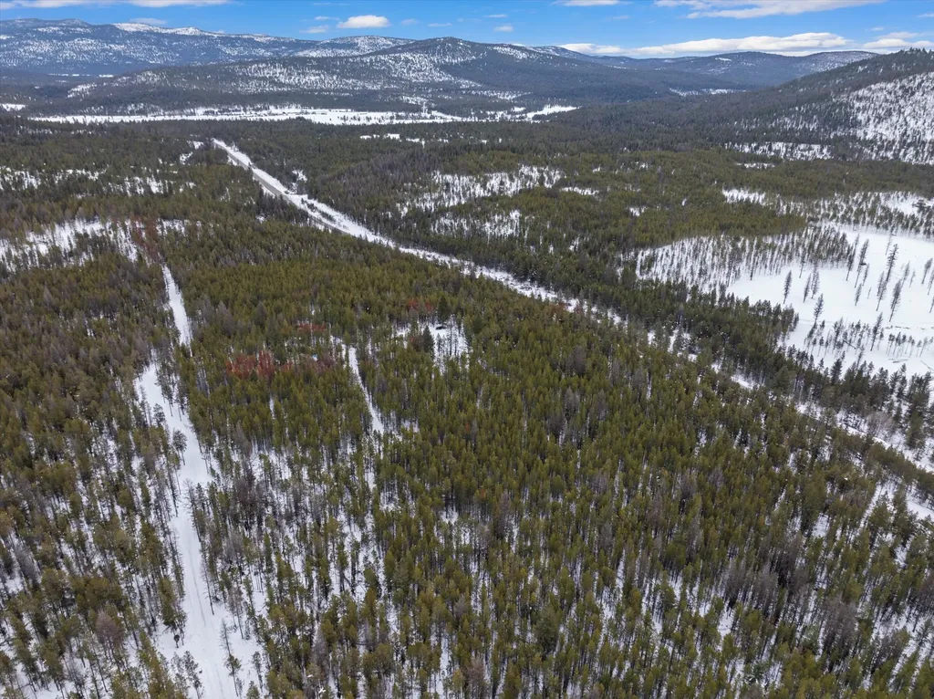 314 New Timber Ridge Trail Marion MT 59925