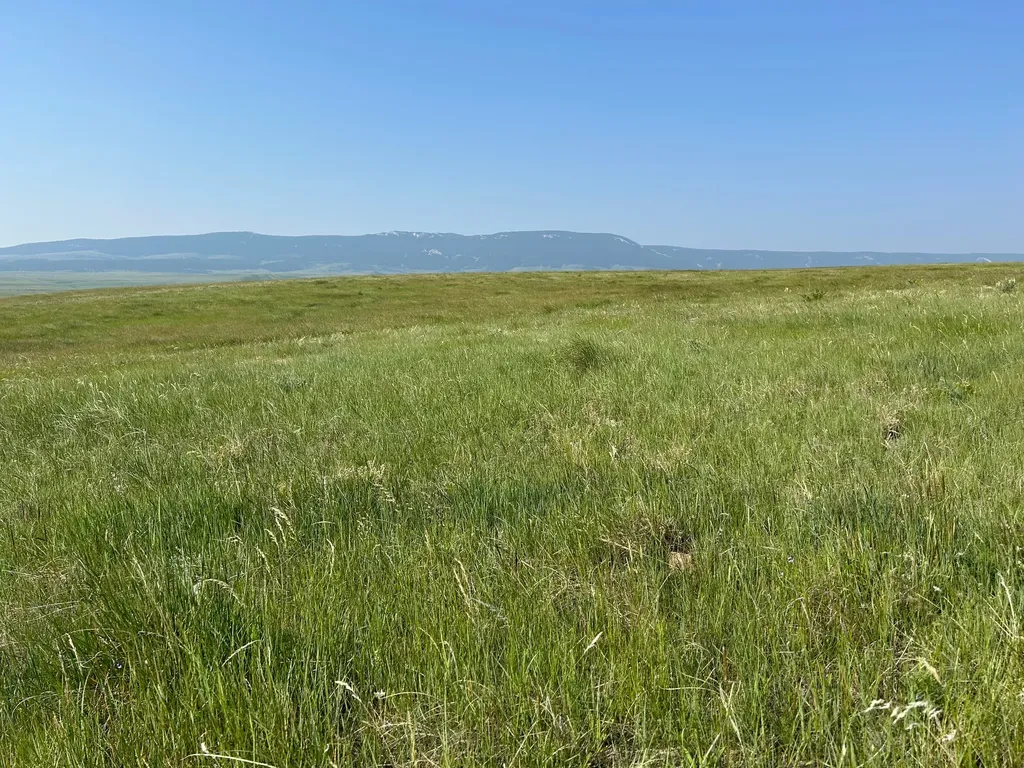 Tbd U Bet Road Buffalo MT 59418