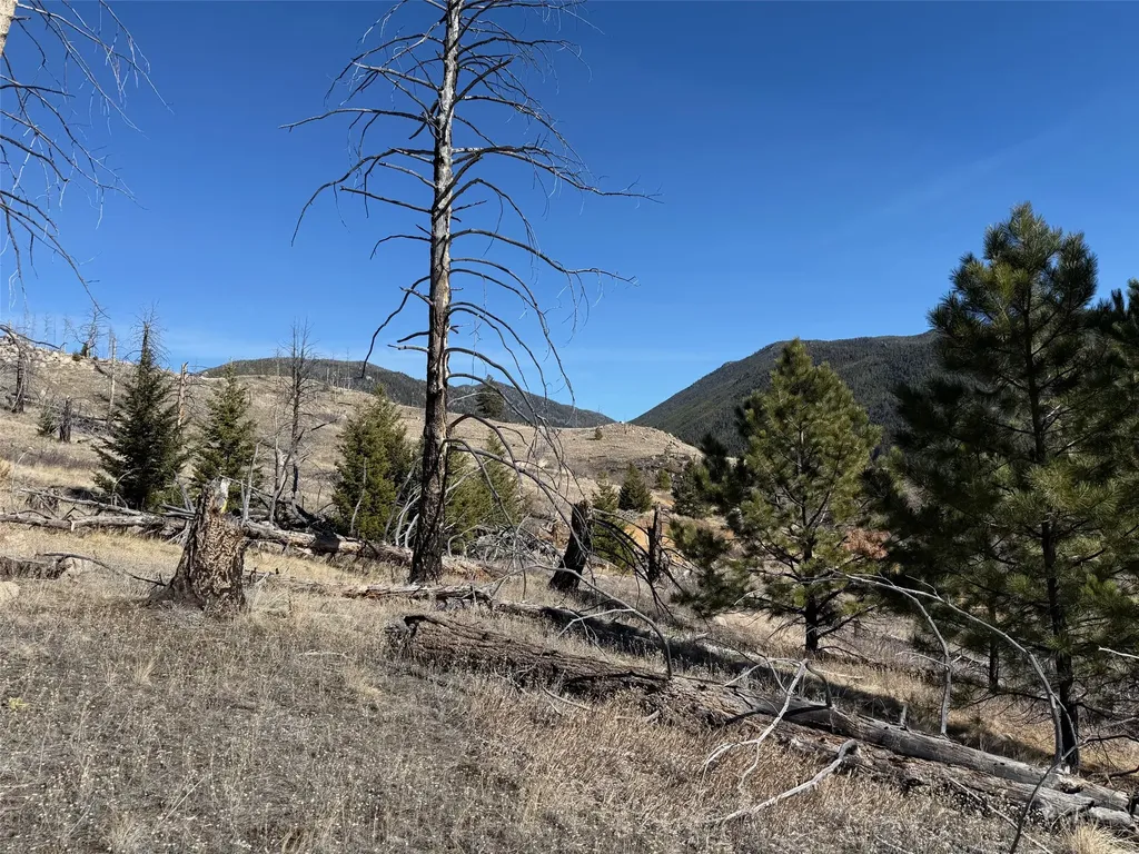 83 Nursery Creek Road Boulder MT 59632
