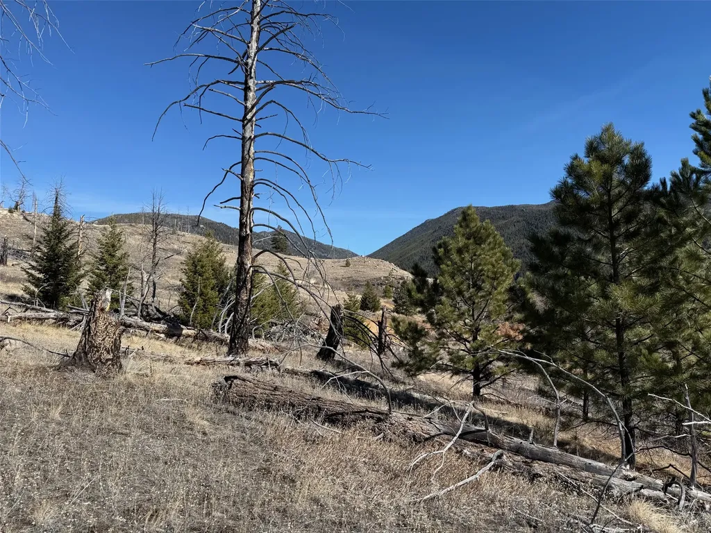 83 Nursery Creek Road Boulder MT 59632
