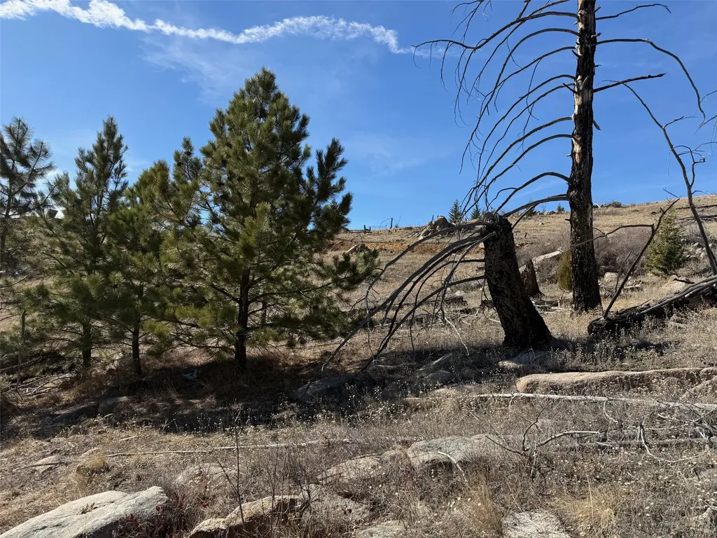 83 Nursery Creek Road Boulder MT 59632