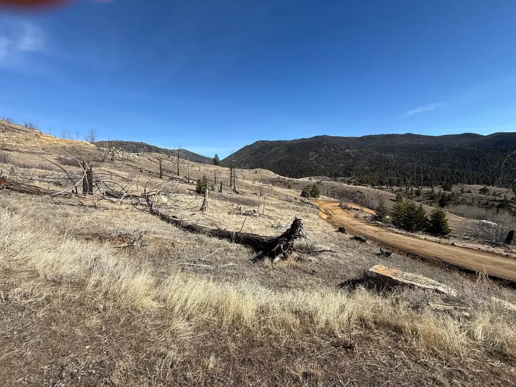83 Nursery Creek Road Boulder MT 59632