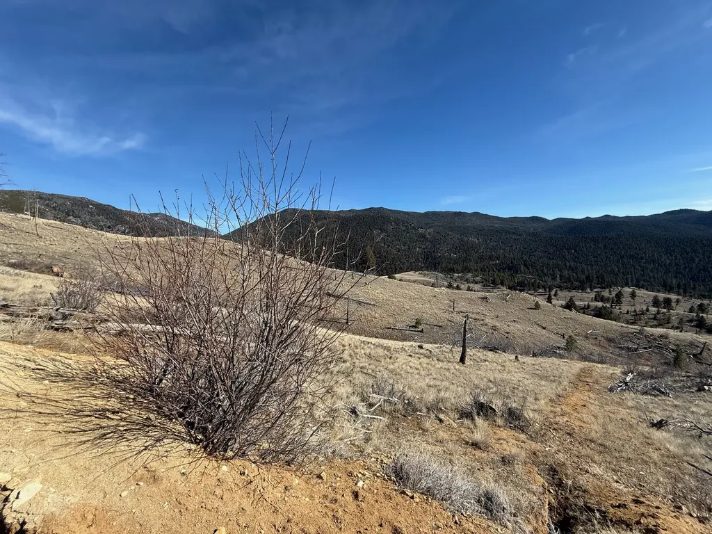 83 Nursery Creek Road Boulder MT 59632