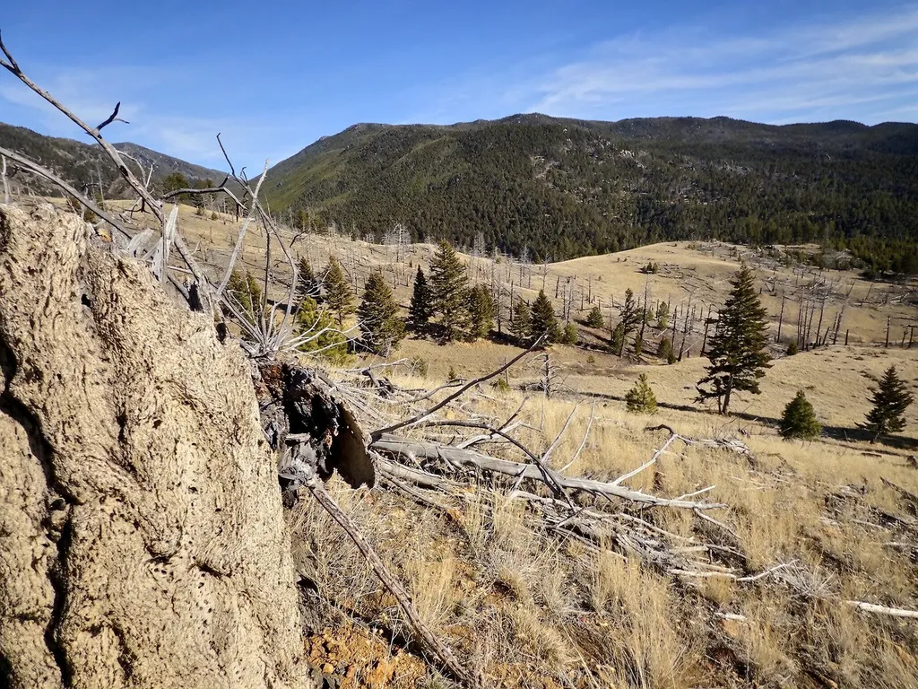 83 Nursery Creek Road Boulder MT 59632